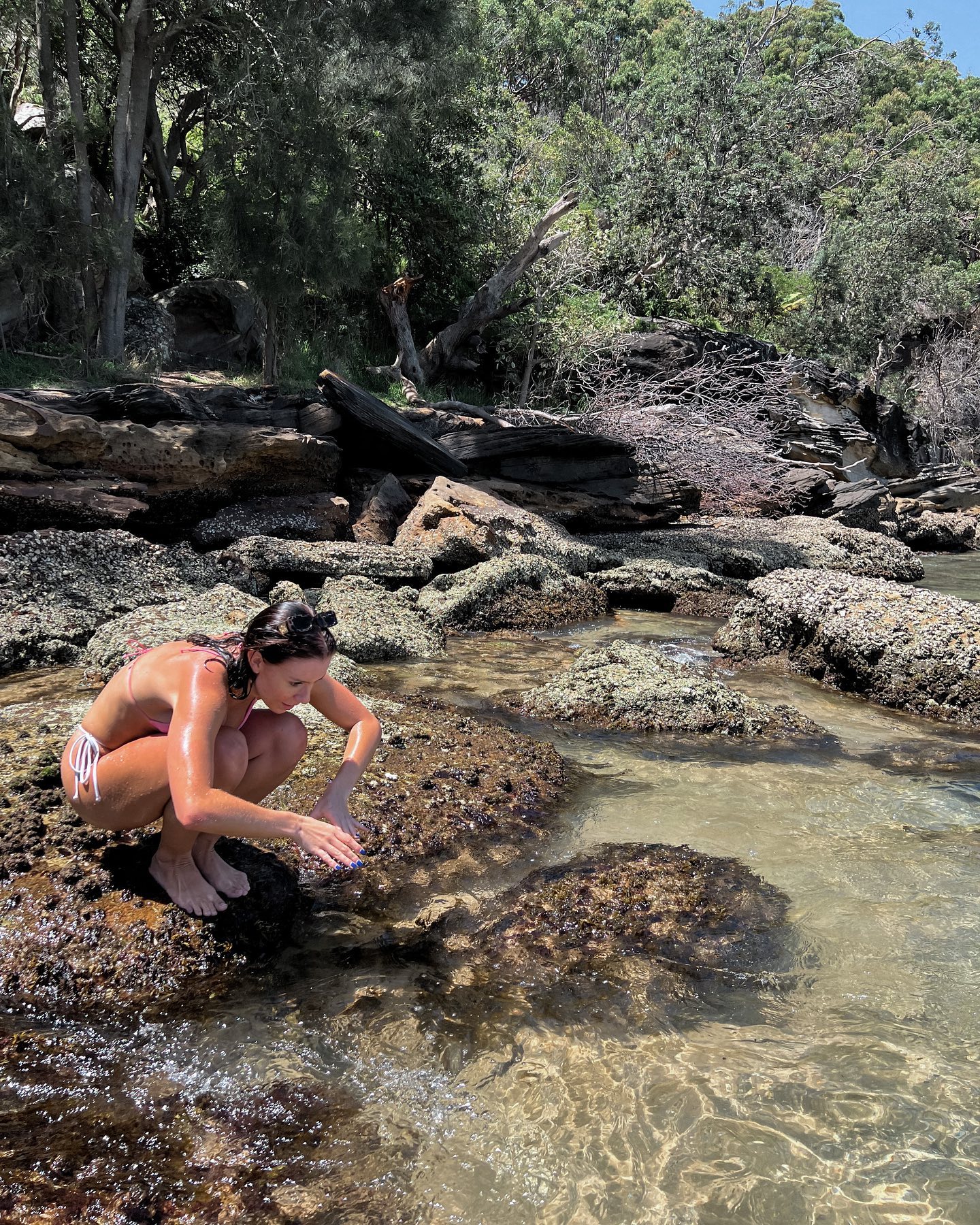 allygravemade instagram image archive image