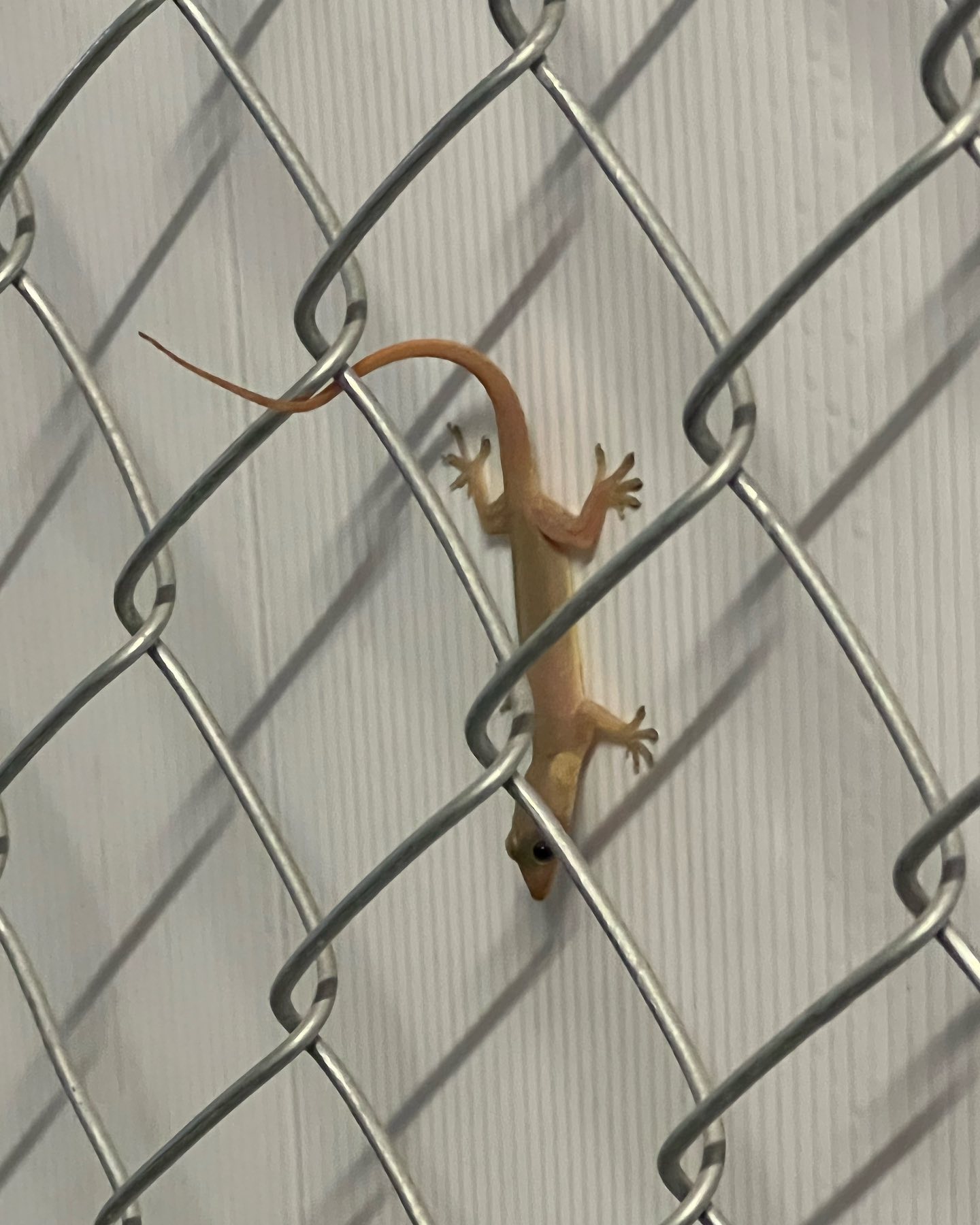 allygravemade instagram image archive image