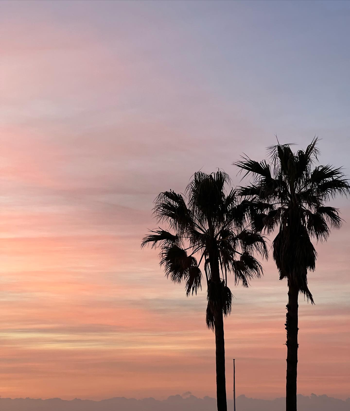 allygravemade instagram image archive image