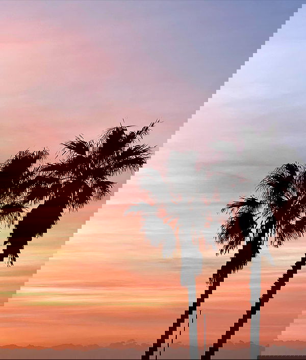 allygravemade image ~ Altpins