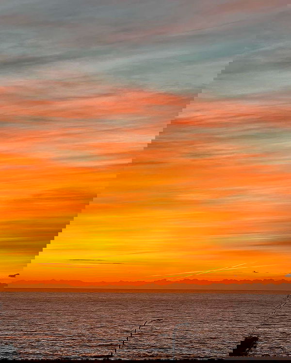 allygravemade image ~ Altpins