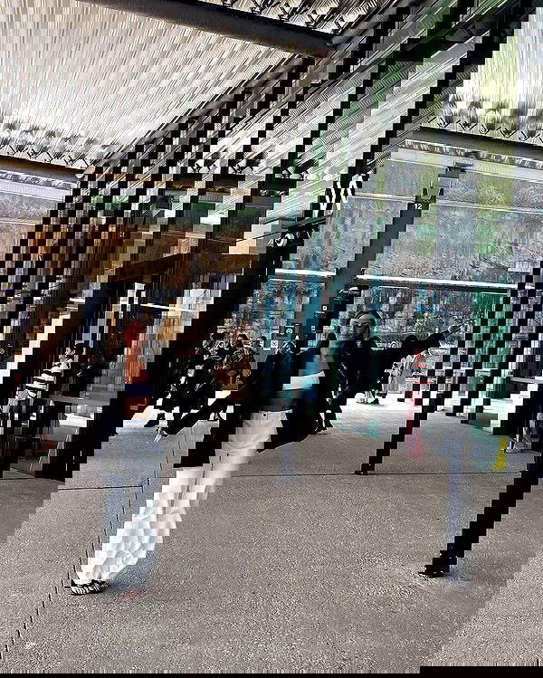 allygravemade image ~ Altpins