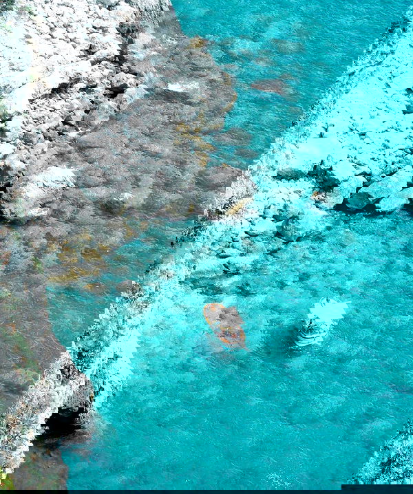 allygravemade image ~ Altpins