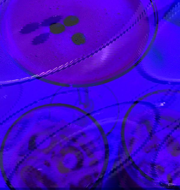 allygravemade image ~ Altpins