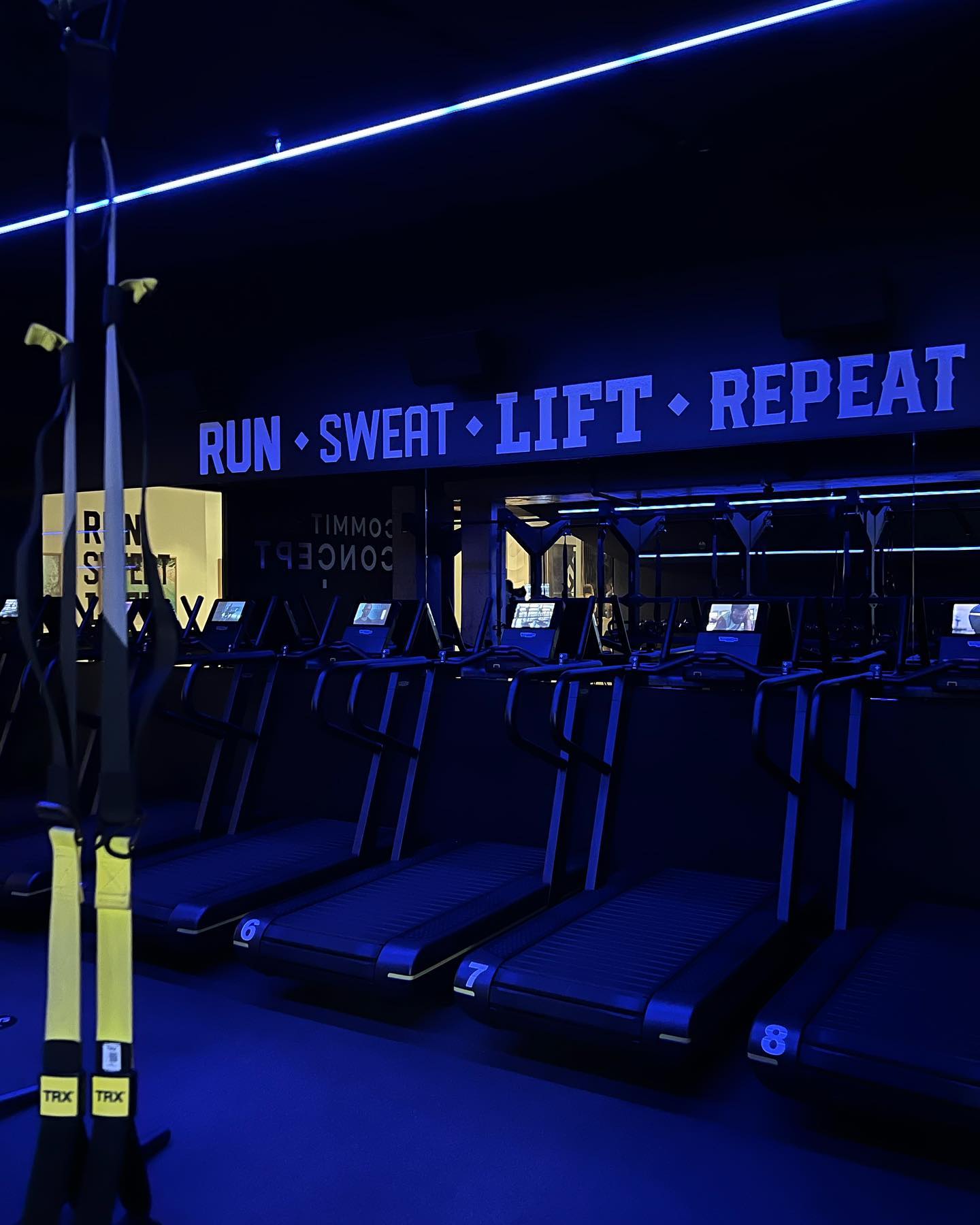 allygravemade instagram image archive image