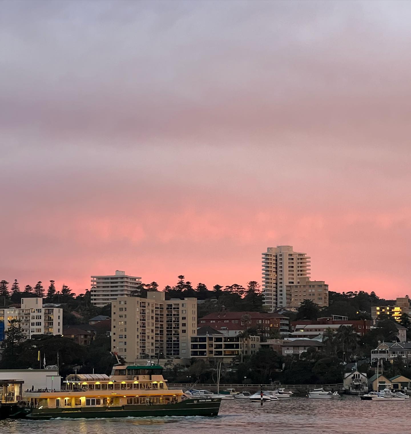 allygravemade instagram image archive image