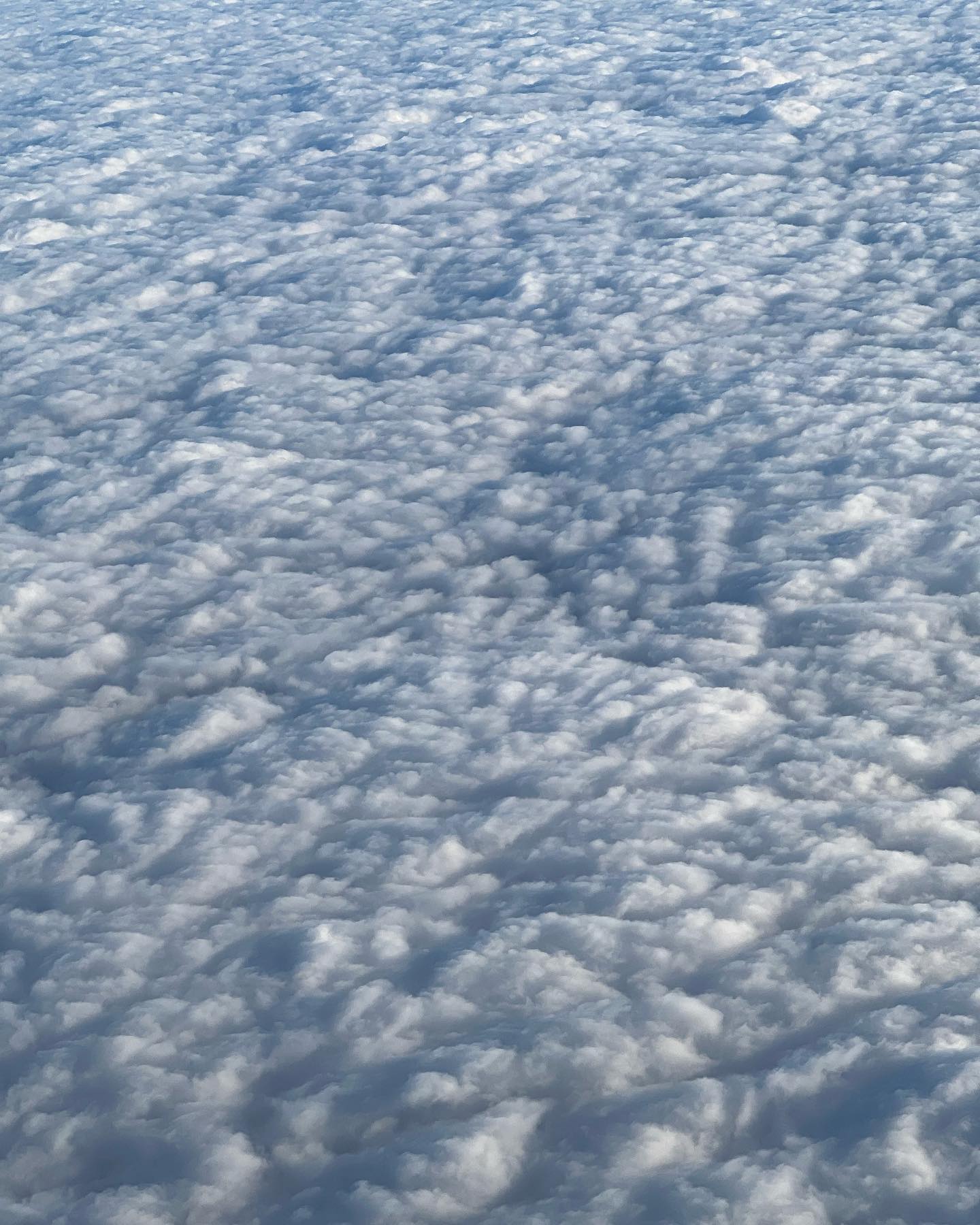 allygravemade instagram image archive image