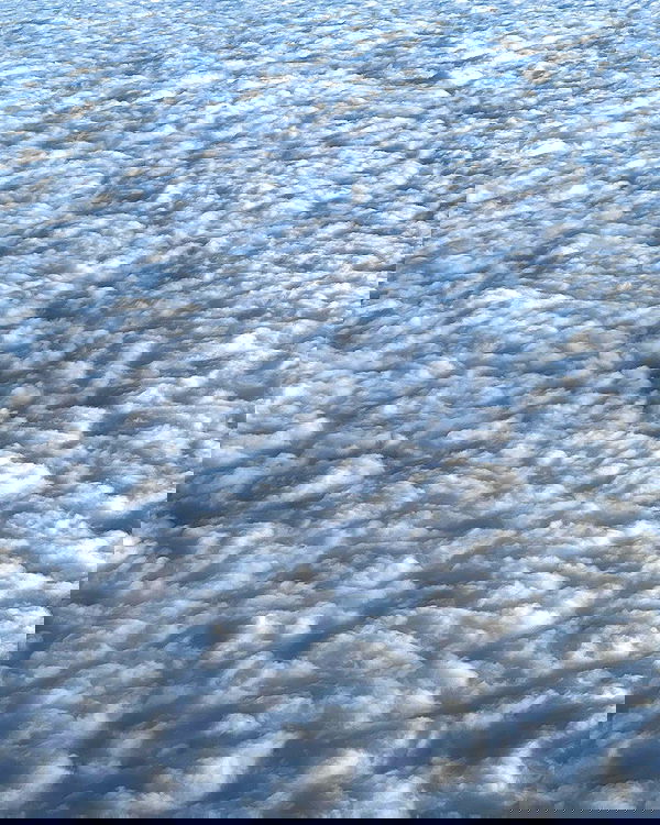 allygravemade image ~ Altpins