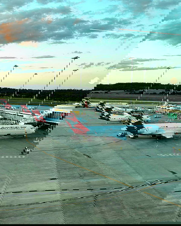 allygravemade image ~ Altpins