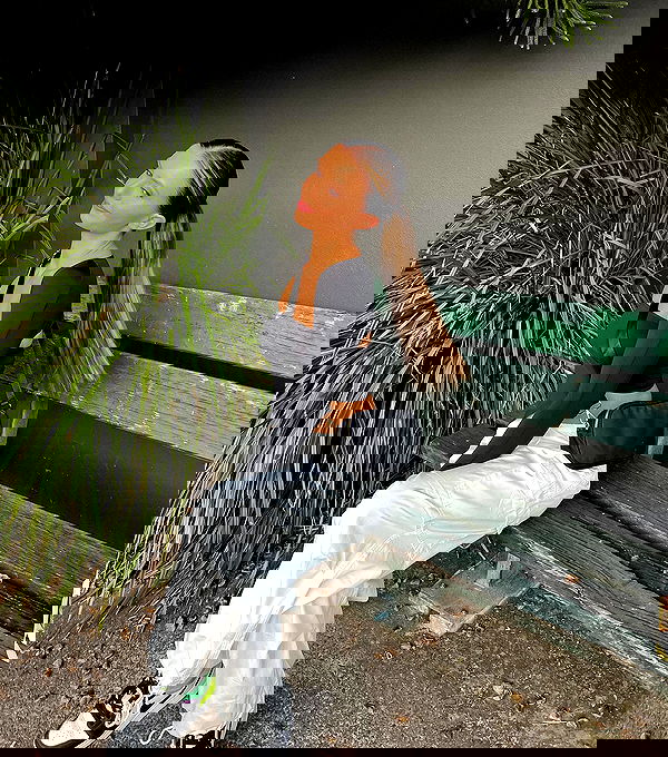 allygravemade image ~ Altpins