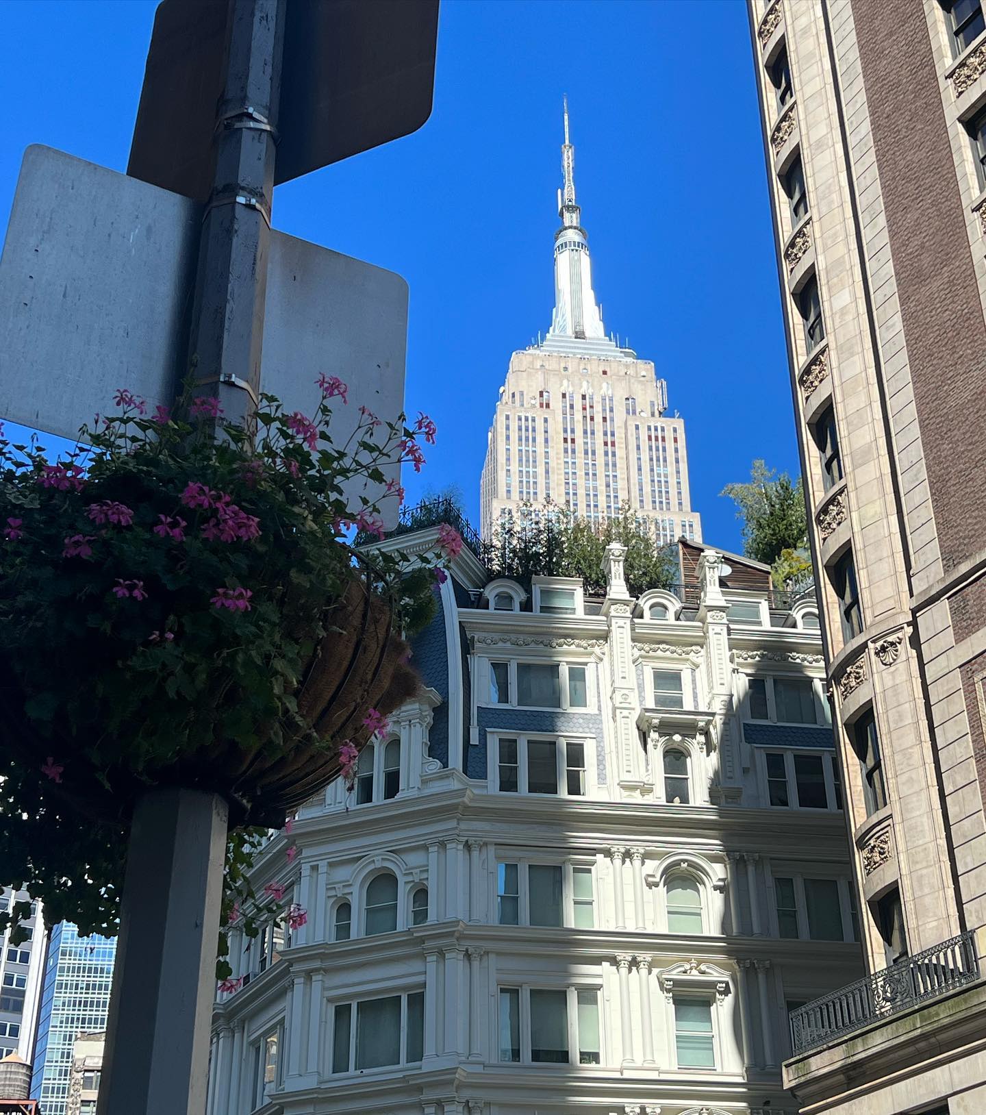 allygravemade instagram image archive image