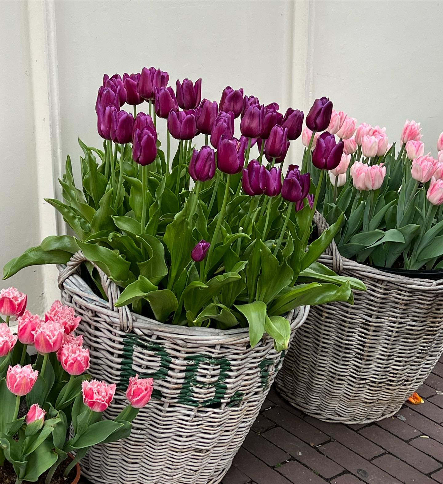 allygravemade instagram image archive image