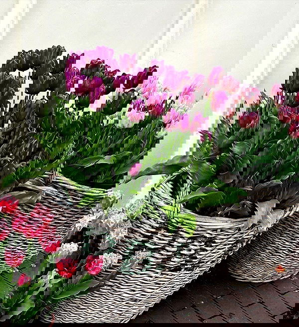 allygravemade image ~ Altpins