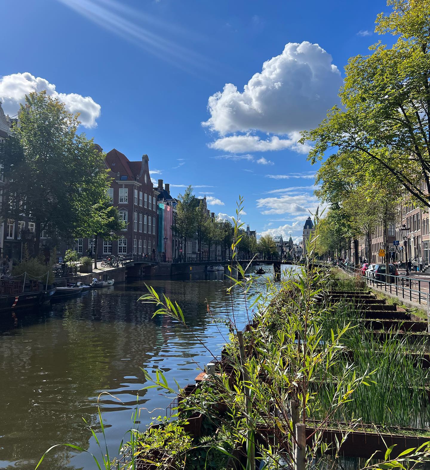 allygravemade instagram image archive image