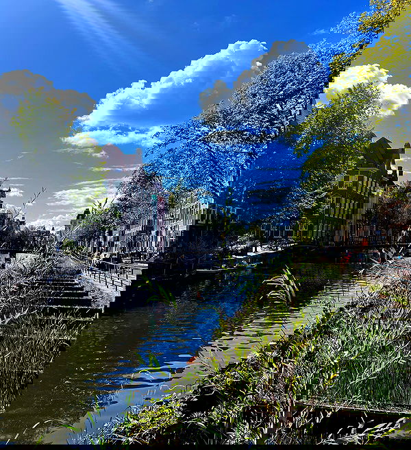 allygravemade image ~ Altpins