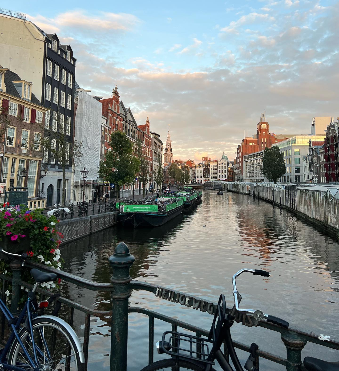 allygravemade instagram image archive image