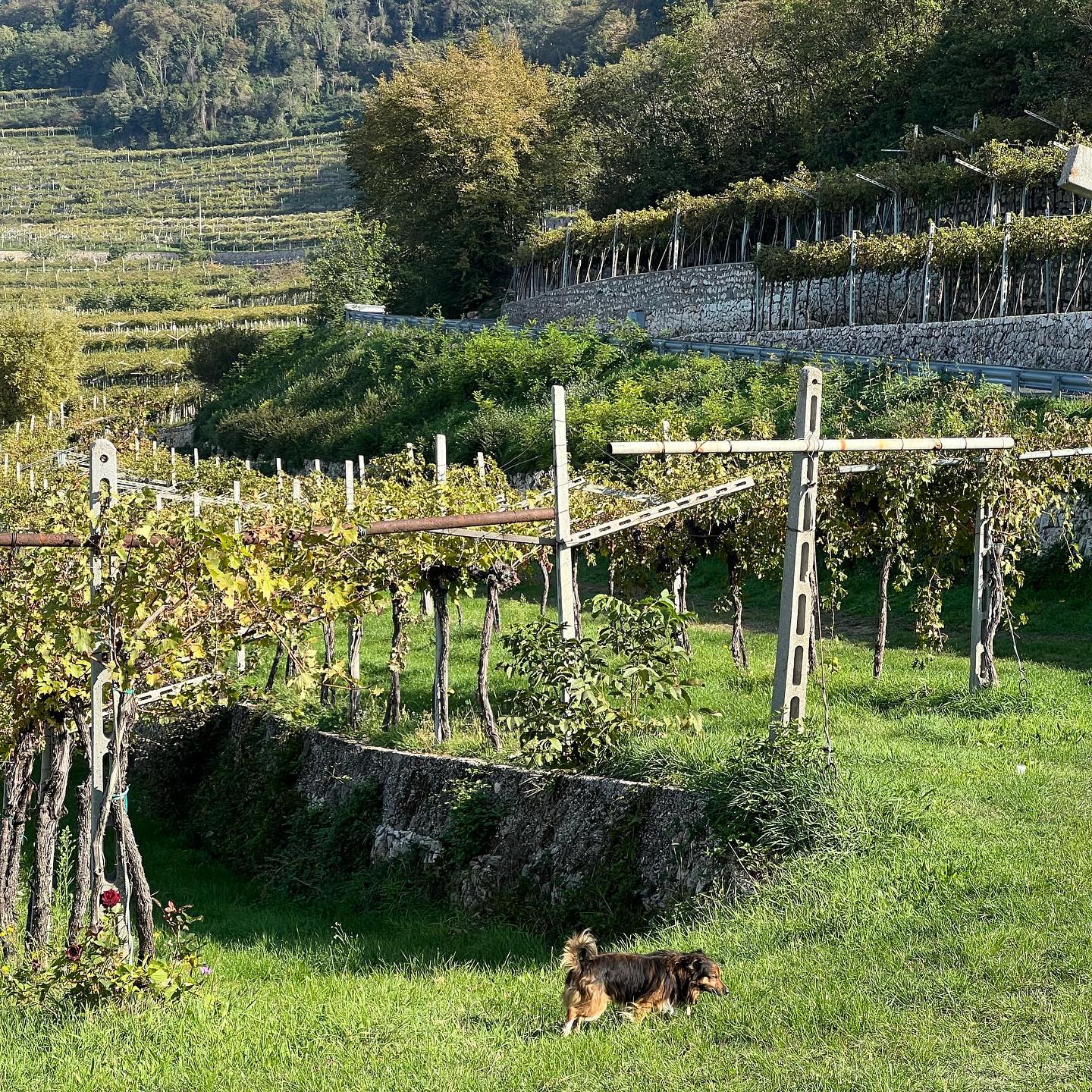 allygravemade instagram image archive image