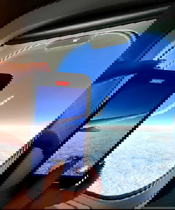 allygravemade image ~ Altpins