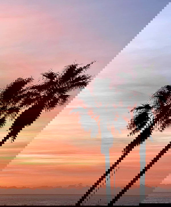 allygravemade image ~ Altpins