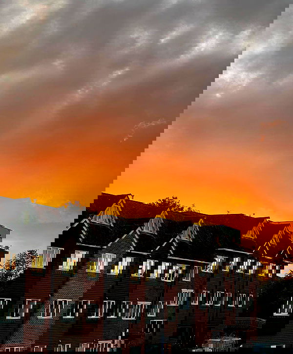 allygravemade image ~ Altpins