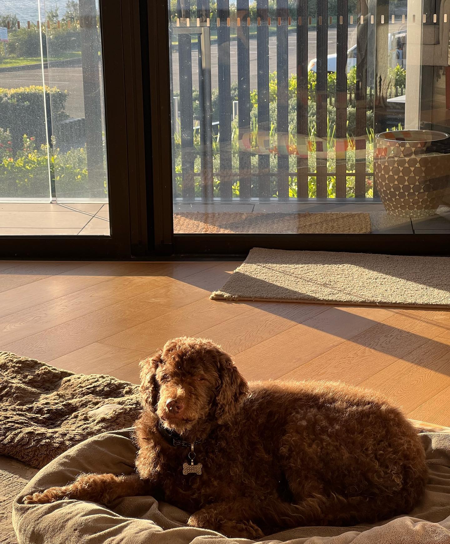 allygravemade instagram image archive image