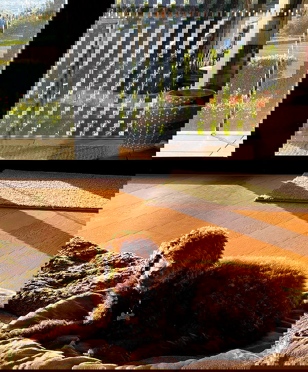 allygravemade image ~ Altpins