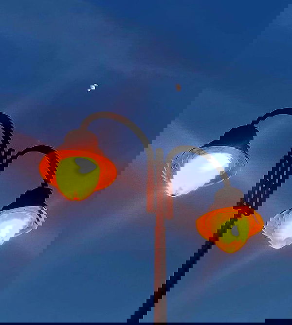 allygravemade image ~ Altpins