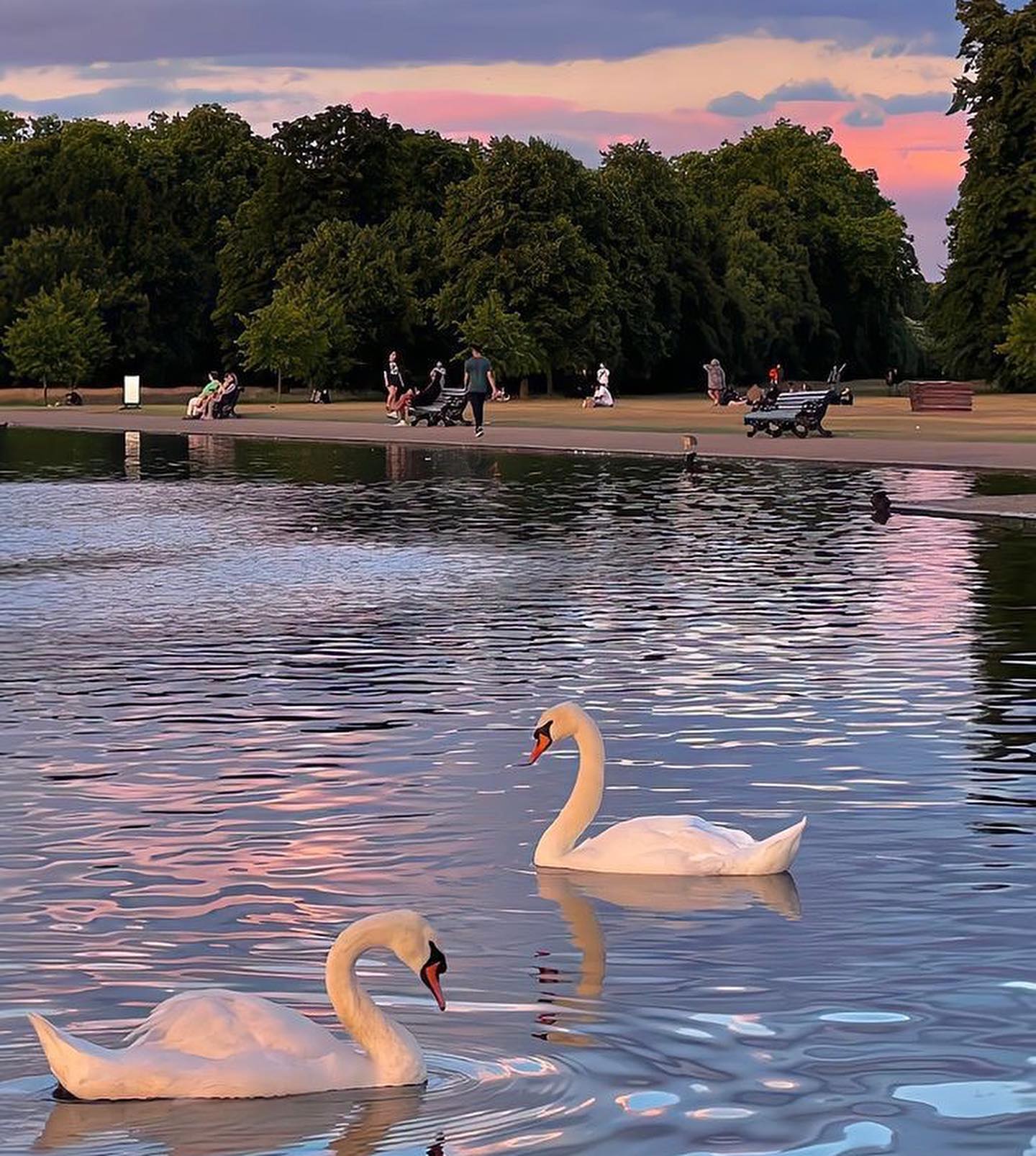 allygravemade instagram image archive image