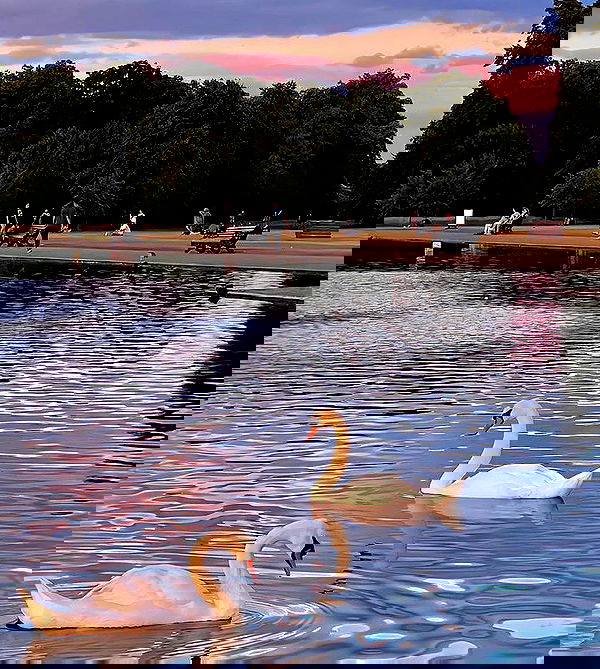 allygravemade image ~ Altpins