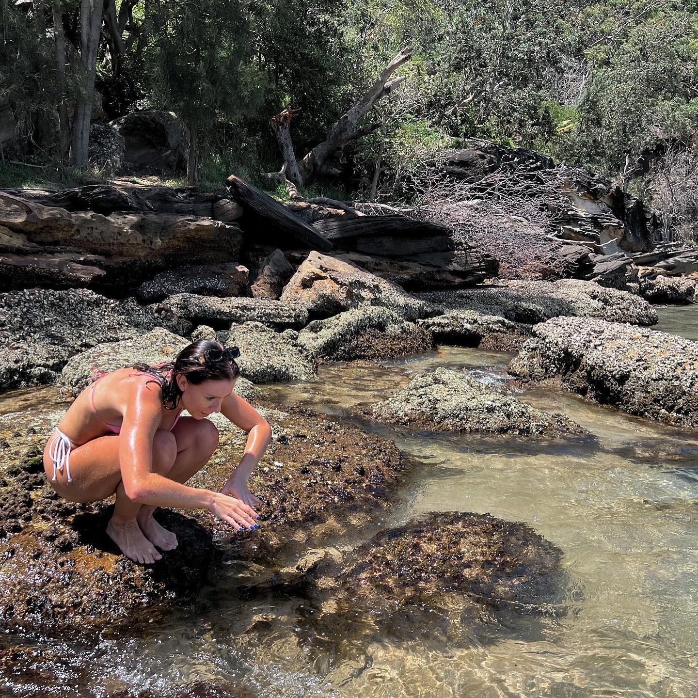 allygravemade instagram image archive image