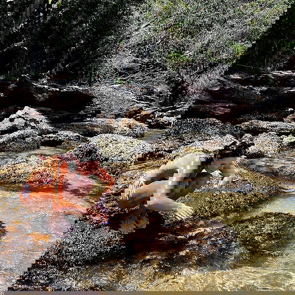 allygravemade image ~ Altpins