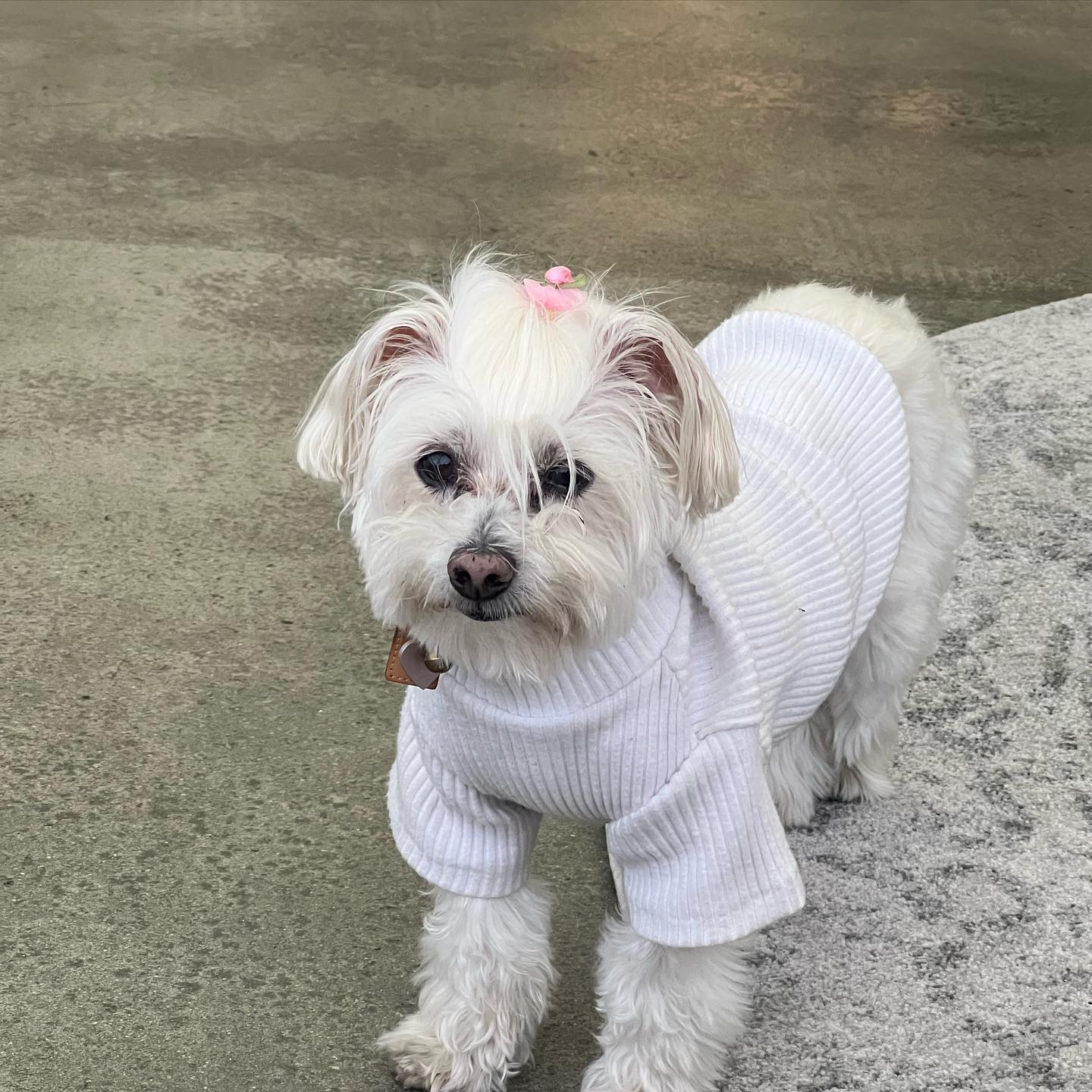 allygravemade instagram image archive image