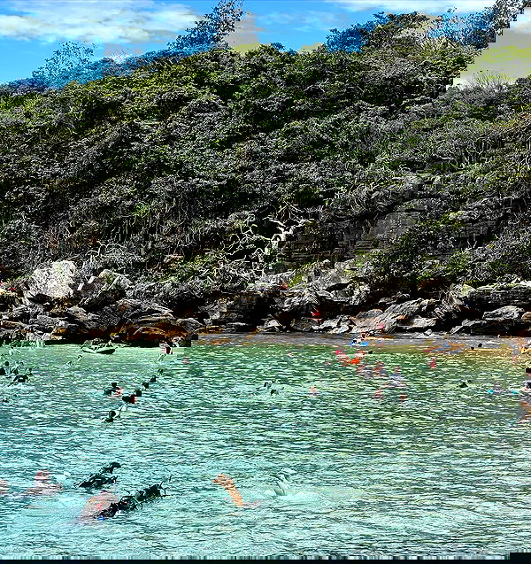 allygravemade image ~ Altpins