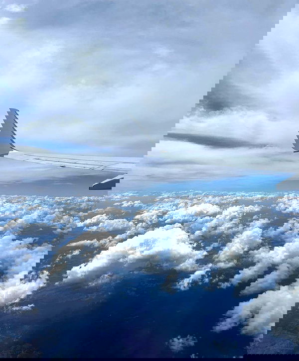 allygravemade image ~ Altpins