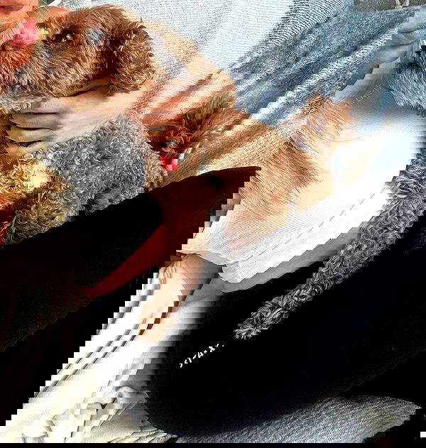 allygravemade image ~ Altpins