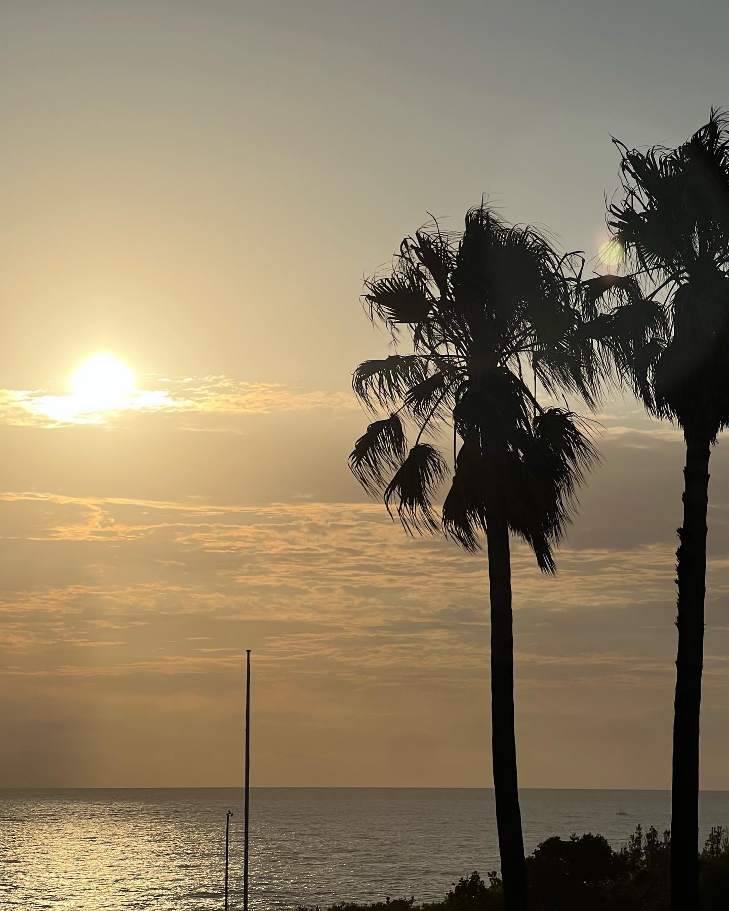 allygravemade instagram image archive image