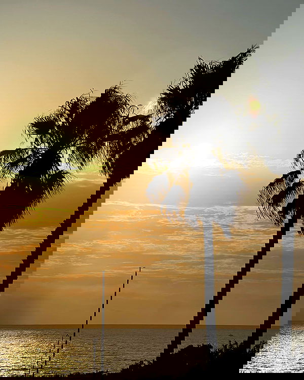 allygravemade image ~ Altpins