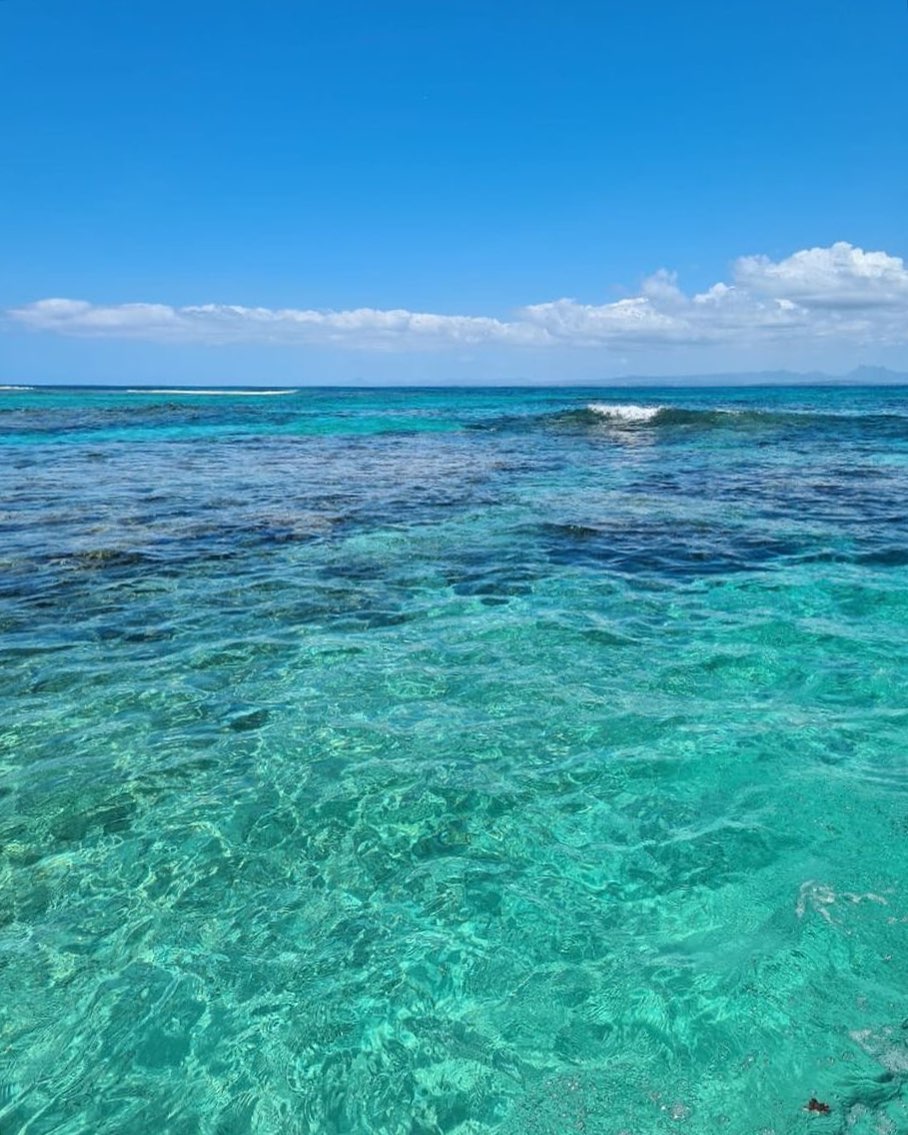 allygravemade instagram image archive image