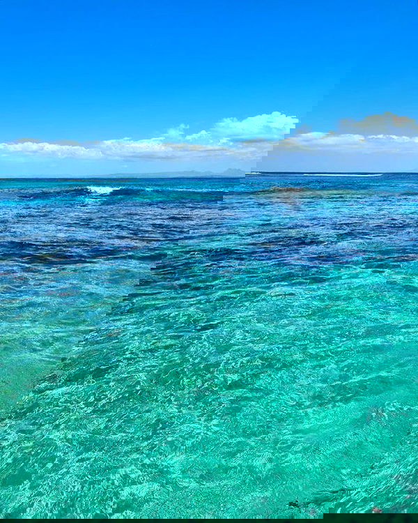 allygravemade image ~ Altpins