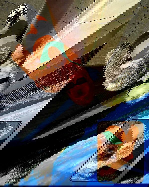 allygravemade image ~ Altpins