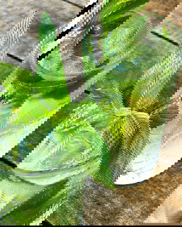 allygravemade image ~ Altpins