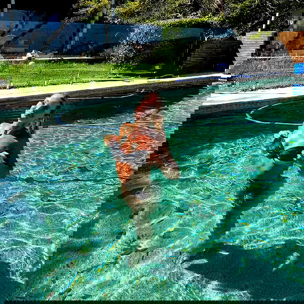 allygravemade image ~ Altpins