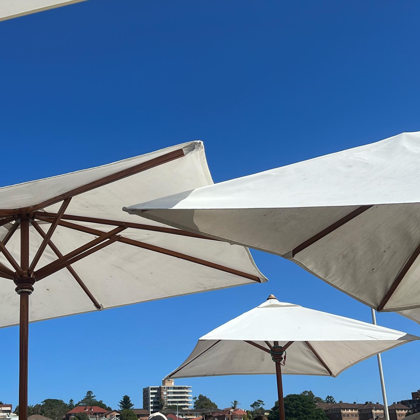 allygravemade instagram image archive image