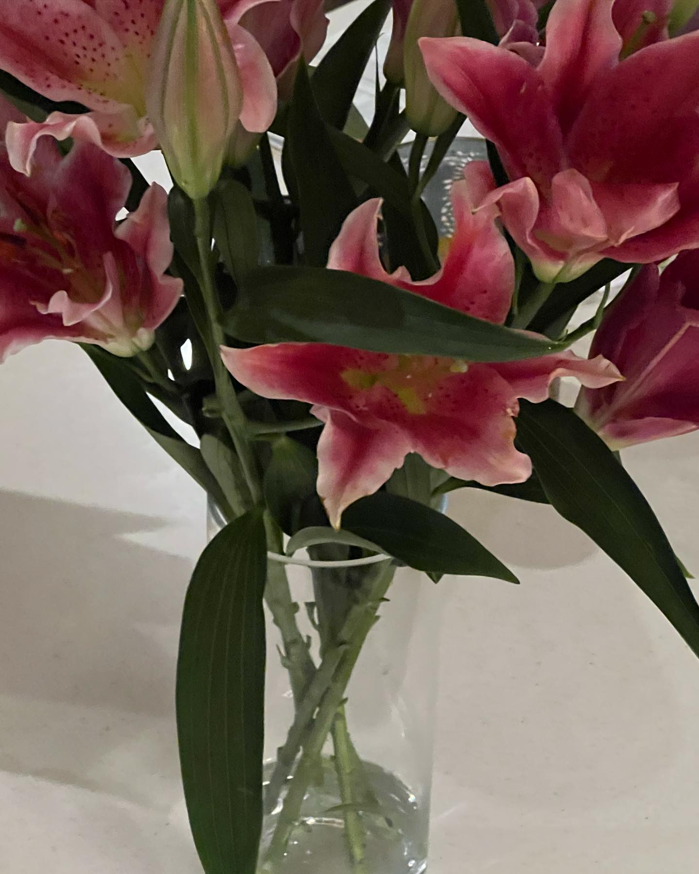 allygravemade instagram image archive image