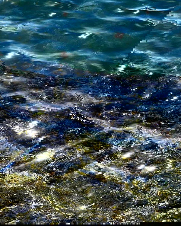 allygravemade image ~ Altpins