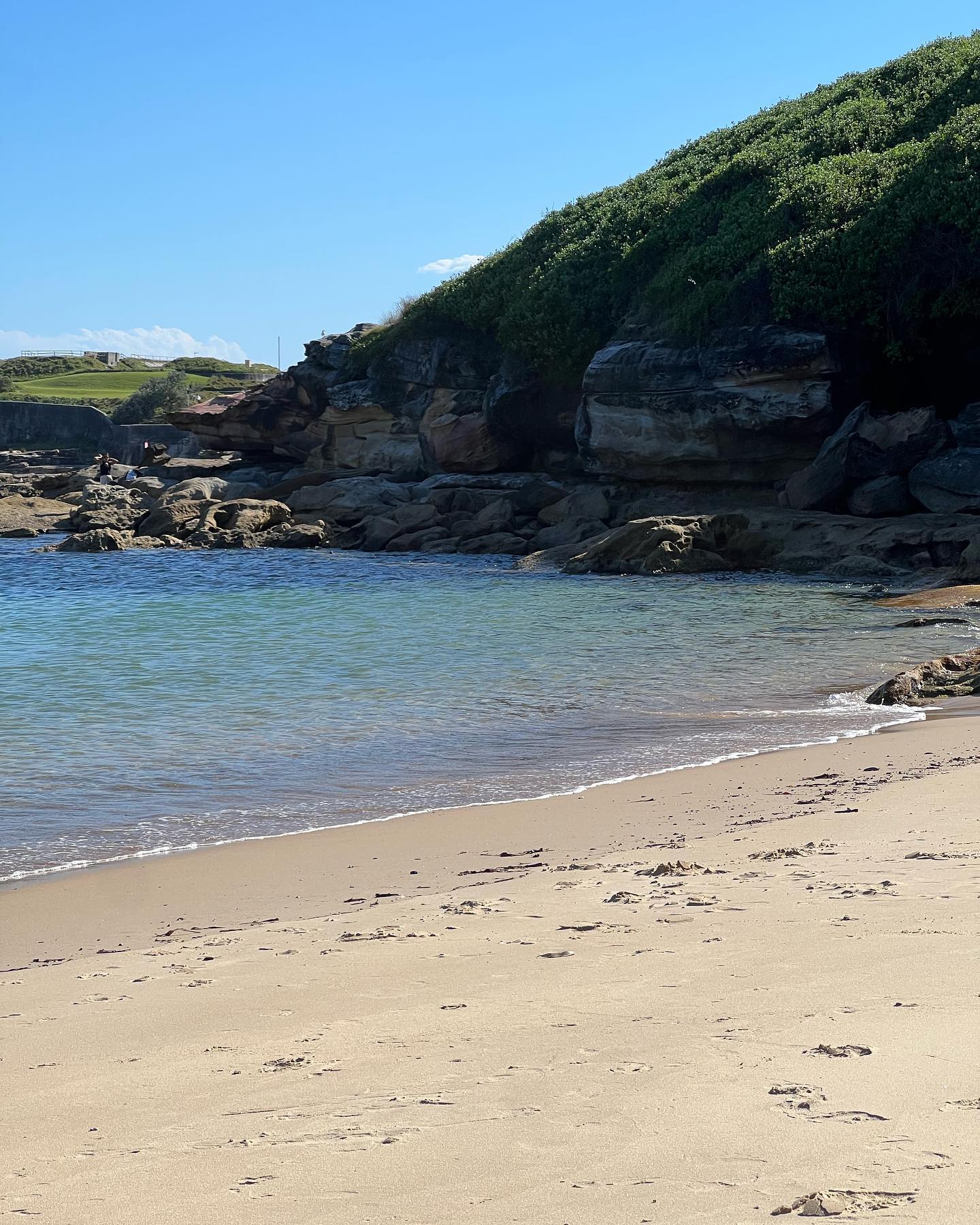 allygravemade instagram image archive image