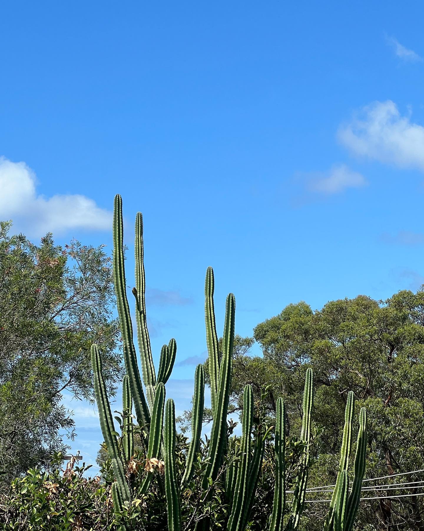 allygravemade instagram image archive image