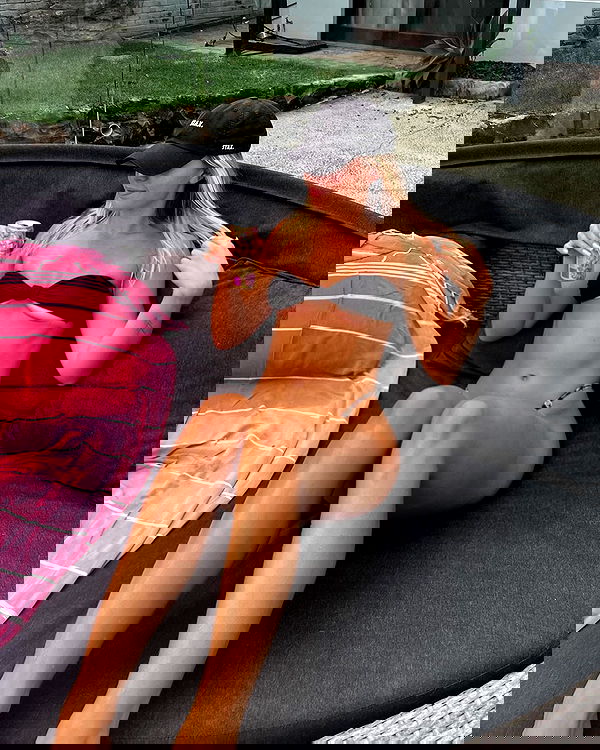 allygravemade image ~ Altpins