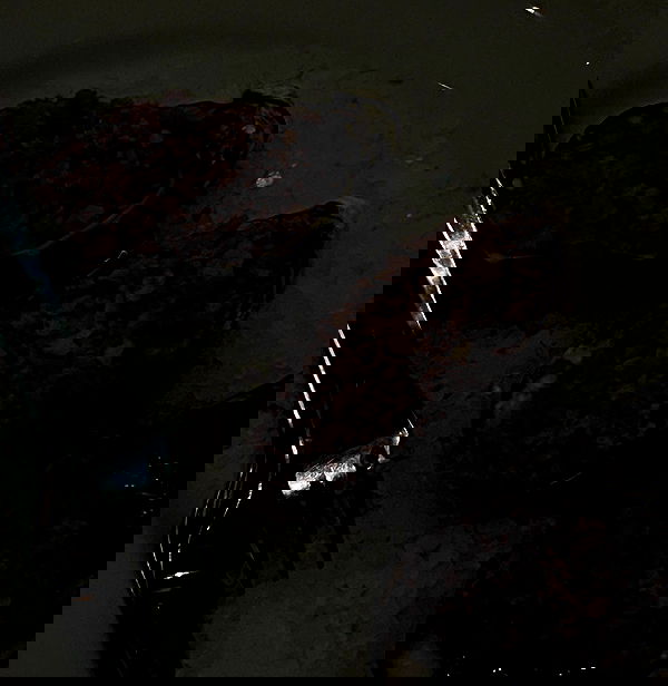 allygravemade image ~ Altpins