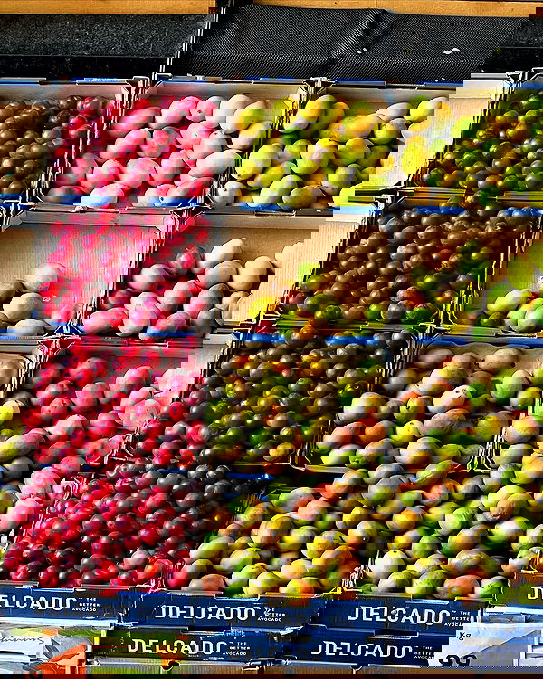 allygravemade image ~ Altpins